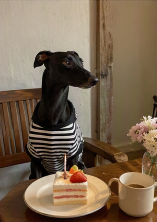 Imágenes de entrada (8 fotos de un perrito en cafetería)
